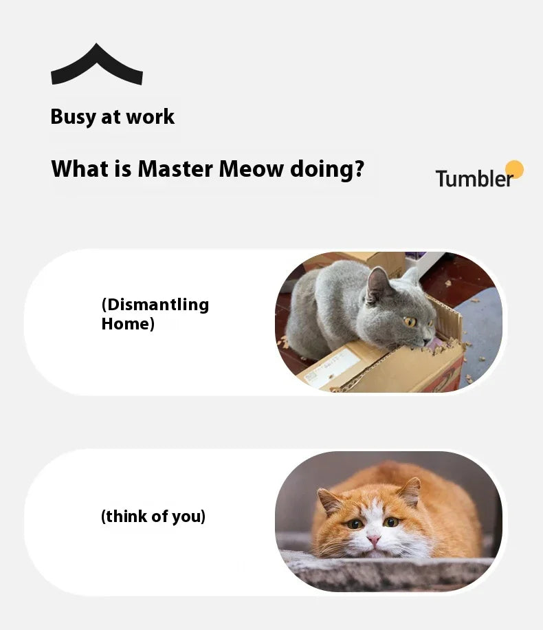 Smart Cat Toy Automatic Rolling Ball