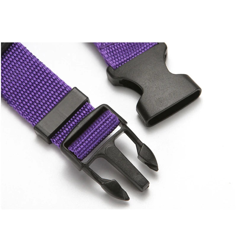 Pet Safety Adjustable Car Seat Belt Leash