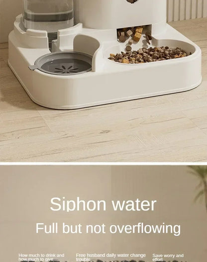 Automatic Feeder with Water Fountain for Cats and Dogs