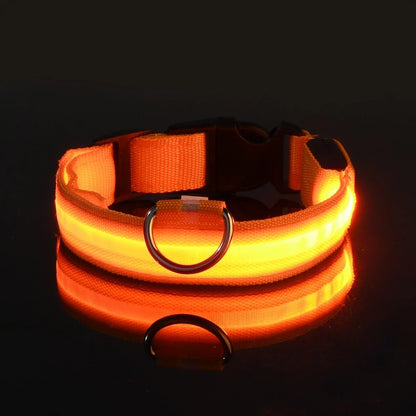 Dog Collar with LED Night Safety Flashing Glow in the Dark
