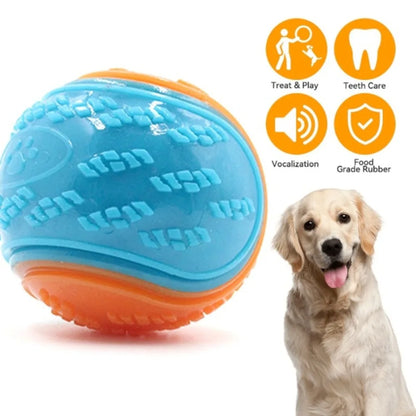 Dog Squeaky Ball
