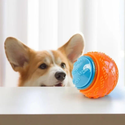 Dog Squeaky Ball