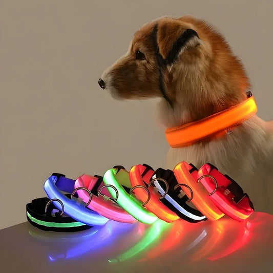 Dog Collar with LED Night Safety Flashing Glow in the Dark