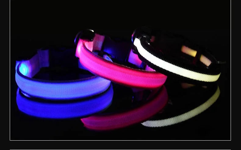 Dog Collar with LED Night Safety Flashing Glow in the Dark