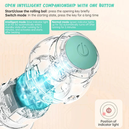 Pet Interactive Smart Ball