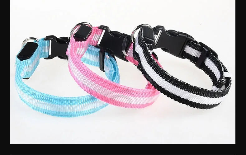 Dog Collar with LED Night Safety Flashing Glow in the Dark