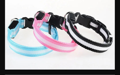 Dog Collar with LED Night Safety Flashing Glow in the Dark