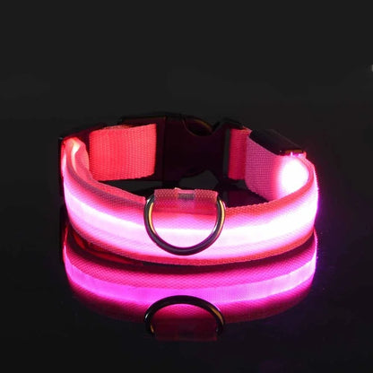 Dog Collar with LED Night Safety Flashing Glow in the Dark