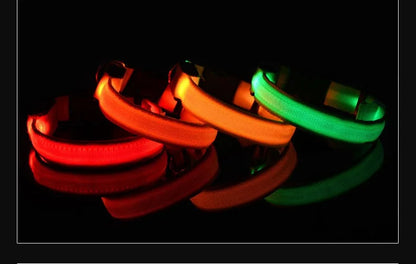 Dog Collar with LED Night Safety Flashing Glow in the Dark