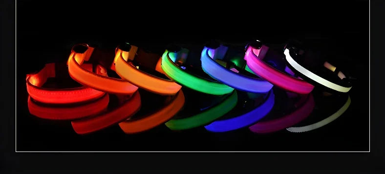 Dog Collar with LED Night Safety Flashing Glow in the Dark