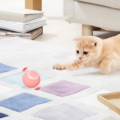 Pet Interactive Smart Ball