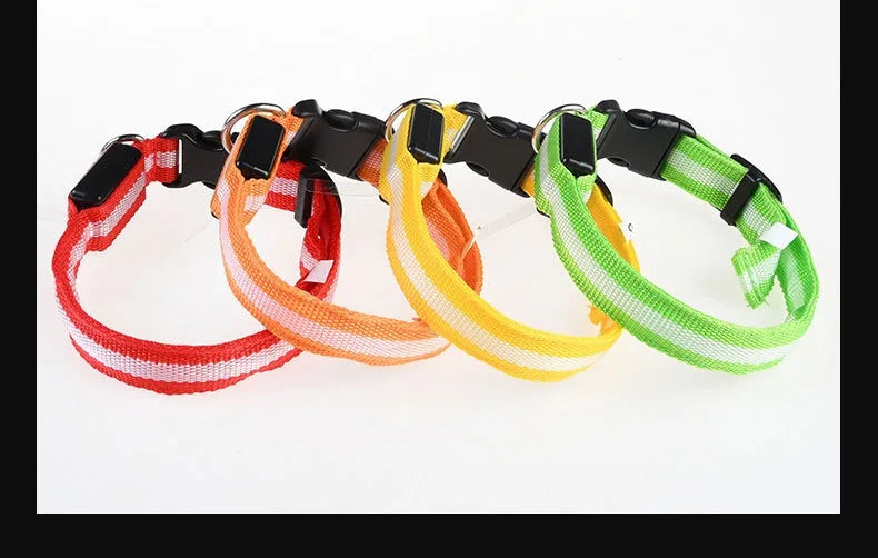 Dog Collar with LED Night Safety Flashing Glow in the Dark