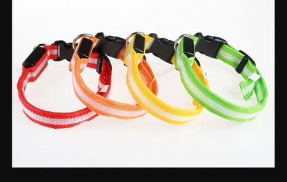 Dog Collar with LED Night Safety Flashing Glow in the Dark