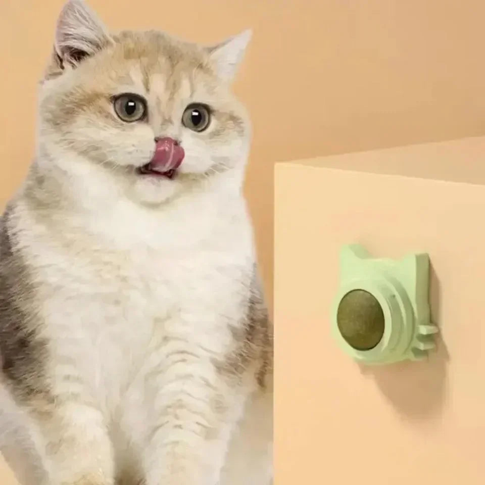 Catnip Balls - Funny Lickable Cat Snack &  Chewing Toy