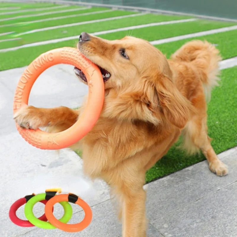 EVA Interactive Flying Disk Dog Toy