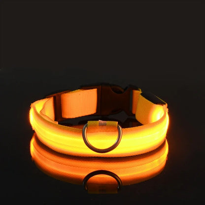 Dog Collar with LED Night Safety Flashing Glow in the Dark
