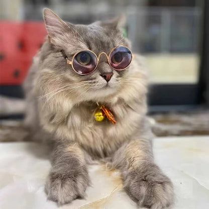 Vintage Round Cat Sunglasses for Pets