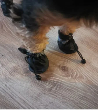 4pcs/set Waterproof Pet Dog Shoes - Anti-slip Rain Boots