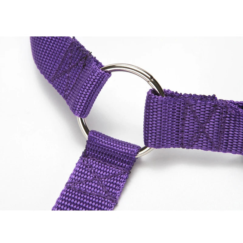Pet Safety Adjustable Car Seat Belt Leash