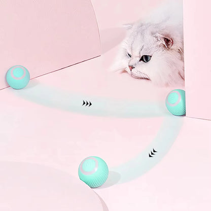 Pet Interactive Smart Ball